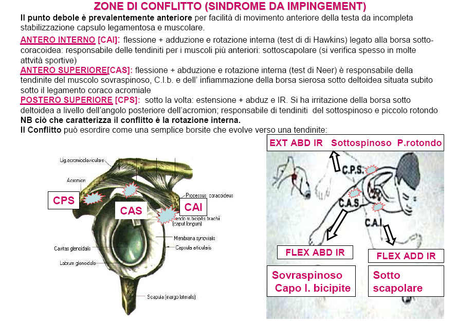 Zone_Conflitto_Spalla_Impingement